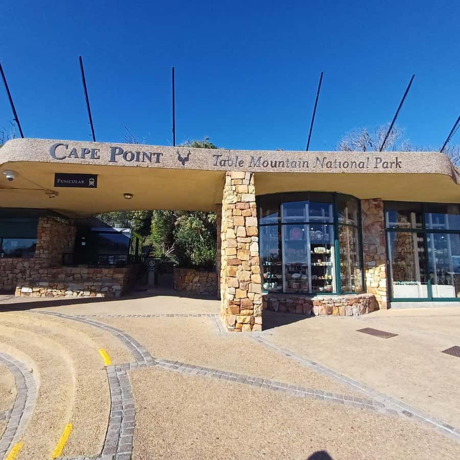 From Cape Town: Half Day Cape Point & Penguins Tour - Chapman’s Peak Drive and the 15-minute photo stop