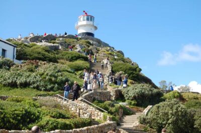 Half Day Cape Point & Penguins Tour