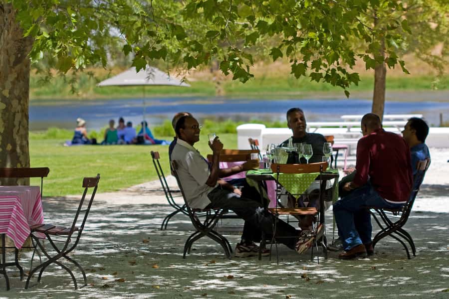 From Cape Town: Half Day Winelands Tour with winetasting - Why this short Cape Winelands trip works