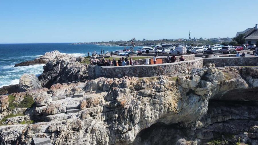 From Cape Town: Hermanus Whale Watching Tour with Boat Trip - Why Hermanus makes a good whale-watching base