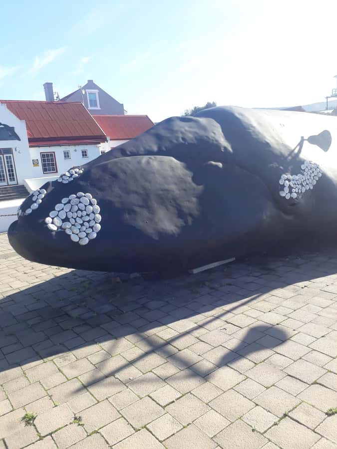 From Cape Town: Hermanus Whale Watching Tour with Transfer - Key points before you book