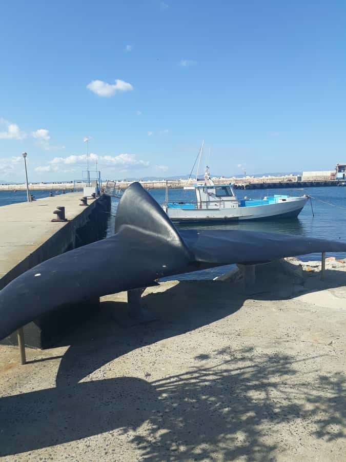 From Cape Town: Hermanus Whale Watching Tour with Transfer - The two-hour road from Cape Town to Hermanus
