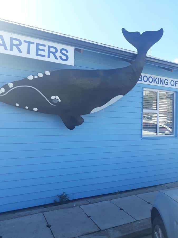 From Cape Town: Hermanus Whale Watching Tour with Transfer - Sir Lowry’s Pass and the Steenbras Dam