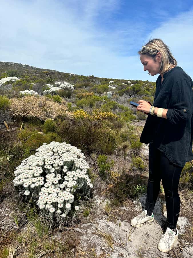 From Cape Town:Private Tour to Boulders Beach and Cape Point - What the schedule feels like in practice