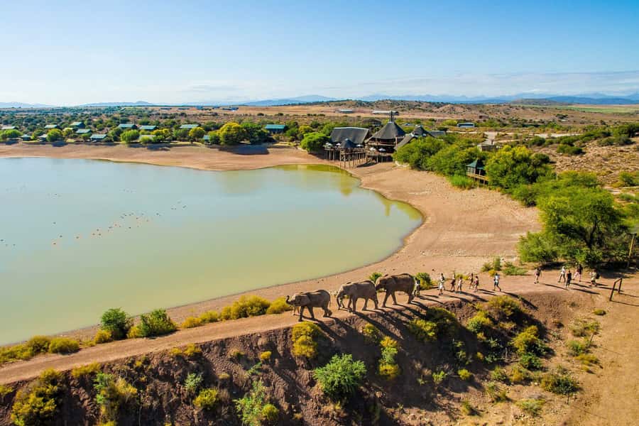 From Cape Town: South African Wildlife and Safari 2-Day Tour - Oudtshoorn after dark