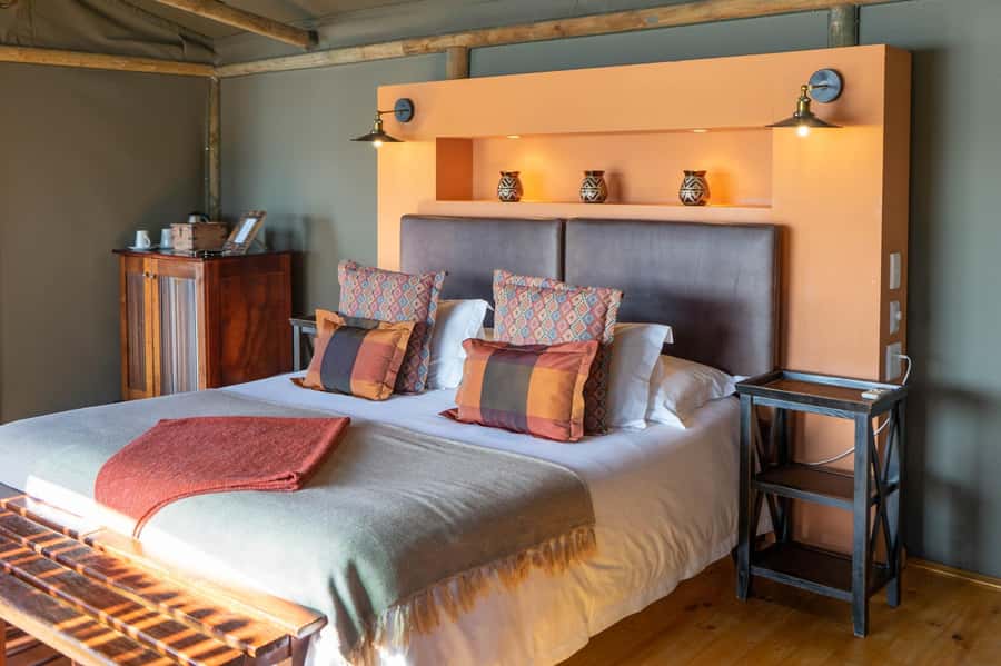 From Cape Town: South African Wildlife and Safari 2-Day Tour - Returning by Route 62