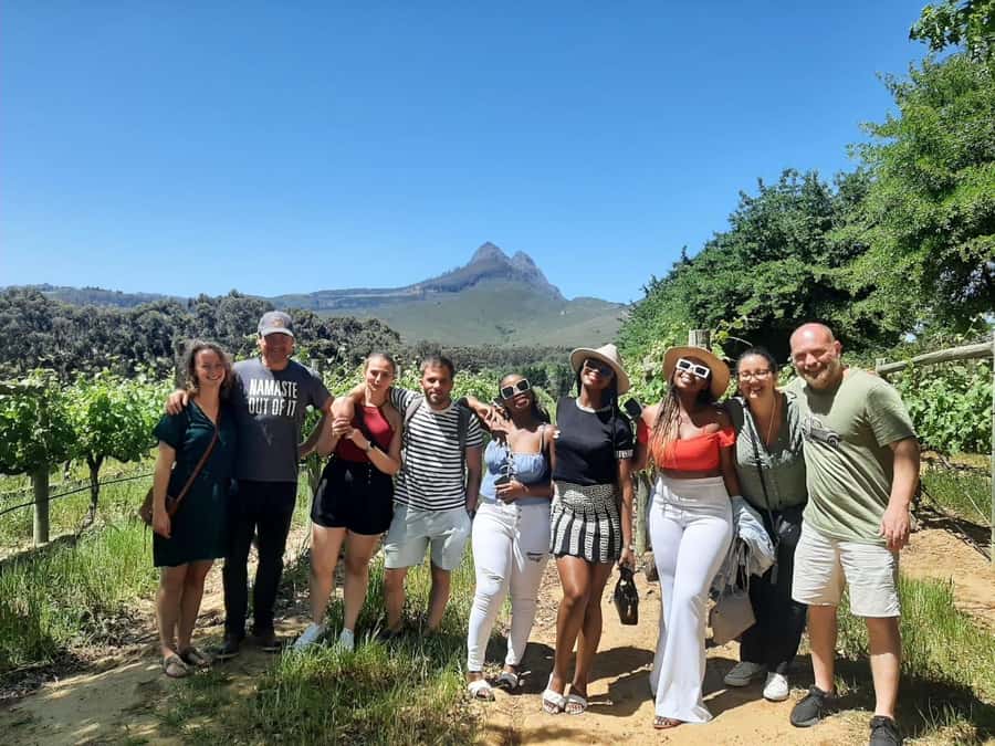 From Cape Town: Stellenbosch Four Estate Full-Day Wine Tour - Why four estates make sense in Stellenbosch
