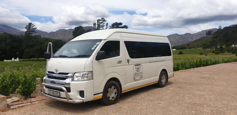 From Cape Town: Stellenbosch Four Estate Full-Day Wine Tour - The guides make the difference