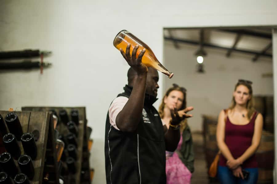 From Cape Town: Stellenbosch Four Estate Full-Day Wine Tour - What to bring and what to leave behind