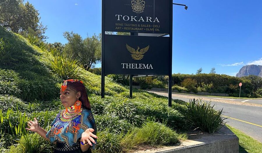 From Cape Town: Stellenbosch & Franschhoek Wine Tasting Tour - Guides, transport, and the human side of the day
