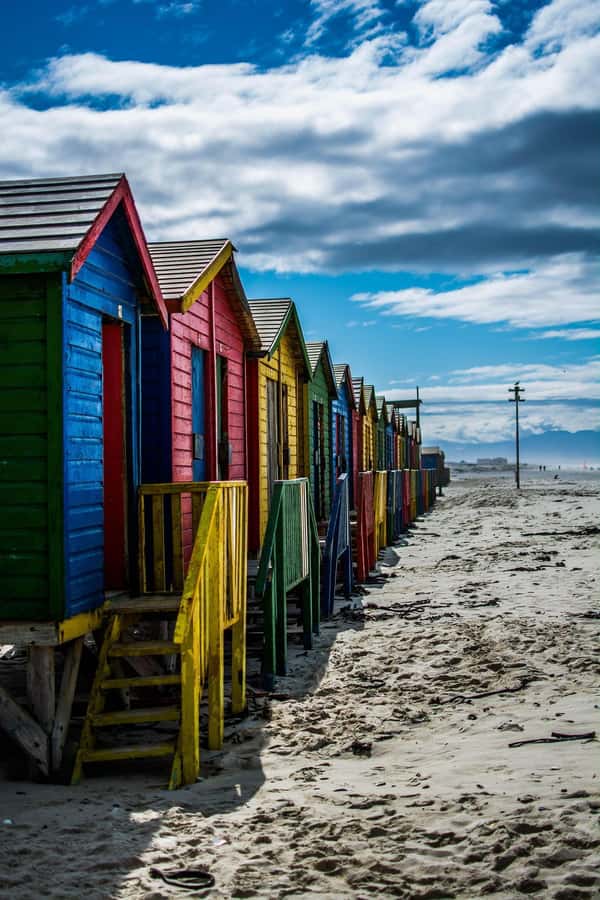 From Cape Town: Table Mountain and Cape of Good Hope Tour - Boulders Beach and the African penguins