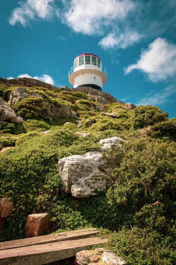 From Cape Town: Table Mountain and Cape of Good Hope Tour - Simon’s Town lunch and a chance to slow down