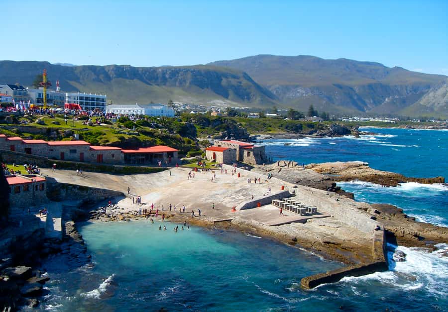 From Cape Town: Whale Watching Tour in Hermanus and Gansbaai - Why this is more than a whale trip
