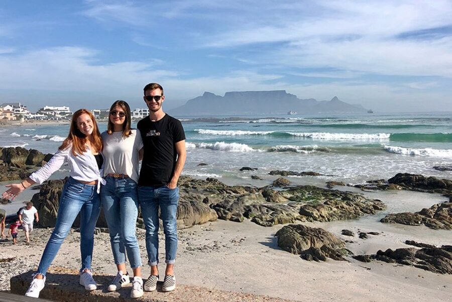 From Cape Town: Wildlife Safari, Olive, Beer & Wine Tasting - Is the $432 price good value?