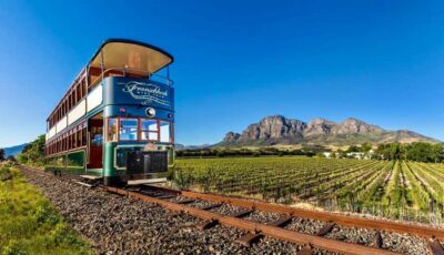 Winelands Full Day Tour and Wine Tasting