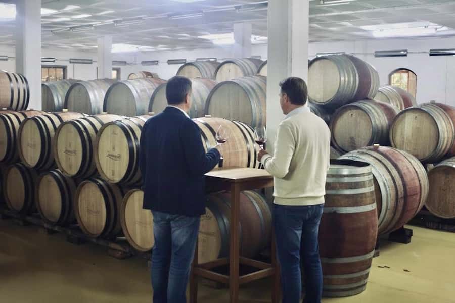 From Cape Town: Winelands Full Day Tour and Wine Tasting - Franschhoek and its French Huguenot character