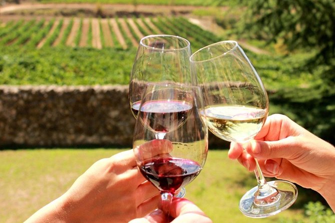From CapeTown: Stellenbosch Half Day Wine Tour - What You Get for $53.72