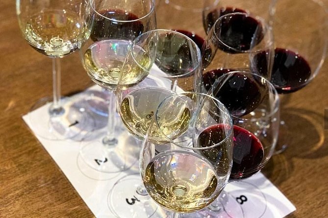 From CapeTown: Stellenbosch Half Day Wine Tour - Timing: Efficient, but Not Relaxed