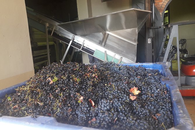 From CapeTown: Stellenbosch Half Day Wine Tour - Leaving Cape Town for Suider Paarl