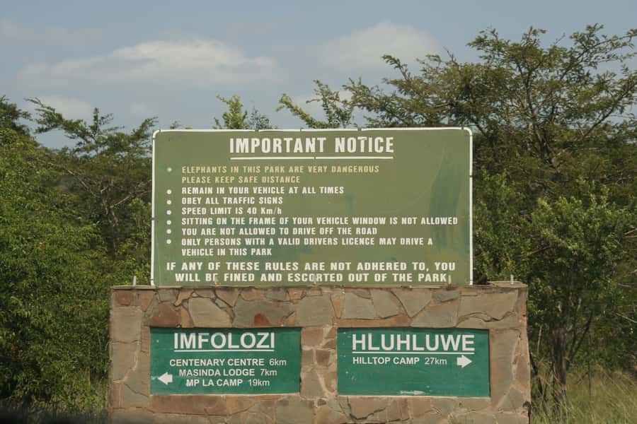 From Durban: Hluhluwe Imfolozi Game Reserve Day Trip - Optional Emtoneni Wild Cat Sanctuary
