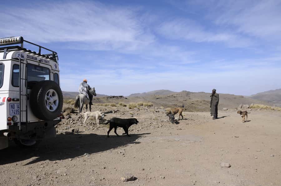 From Durban: Sani Pass and Lesotho by 4WD Vehicle - The guides are part of the experience