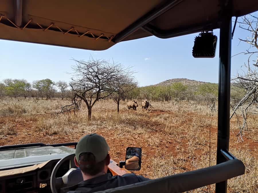 From Durban: Wildlife Lovers Big 5 Safari at 2 Game Reserves - Hilltop Camp lunch with a wide view