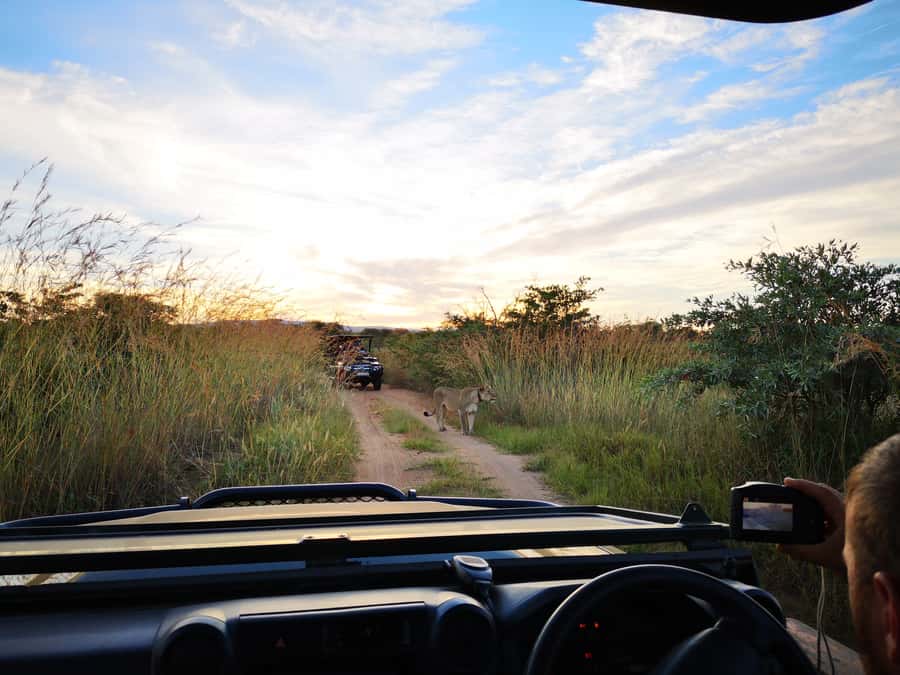 From Durban: Wildlife Lovers Big 5 Safari at 2 Game Reserves - The 5 AM start and the road north