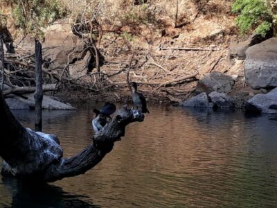 Blyde River Canyon Highlight & Boat Cruise