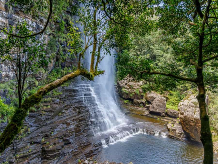 From Hazyview: Full-Day Guided Panorama Tour - Three Rondavels and the Blyde River Canyon