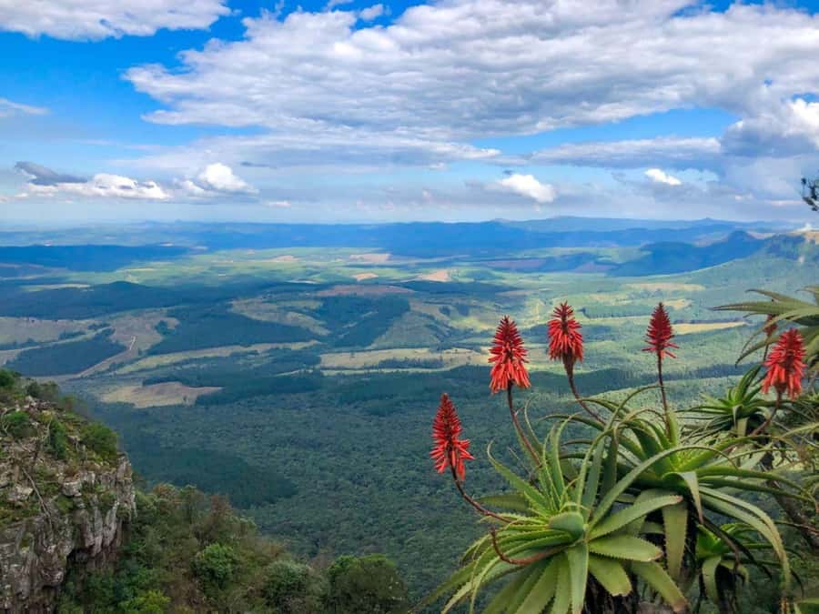 From Hazyview: Full-Day Guided Panorama Tour - How the guide can change the experience
