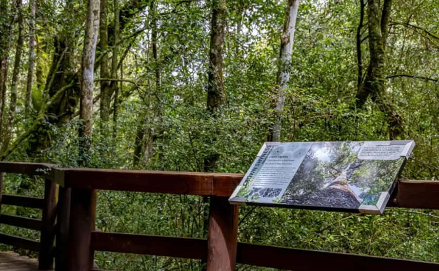 From Hazyview: Full-Day Guided Panorama Tour - Starting from Hazyview and crossing Kowyn’s Pass
