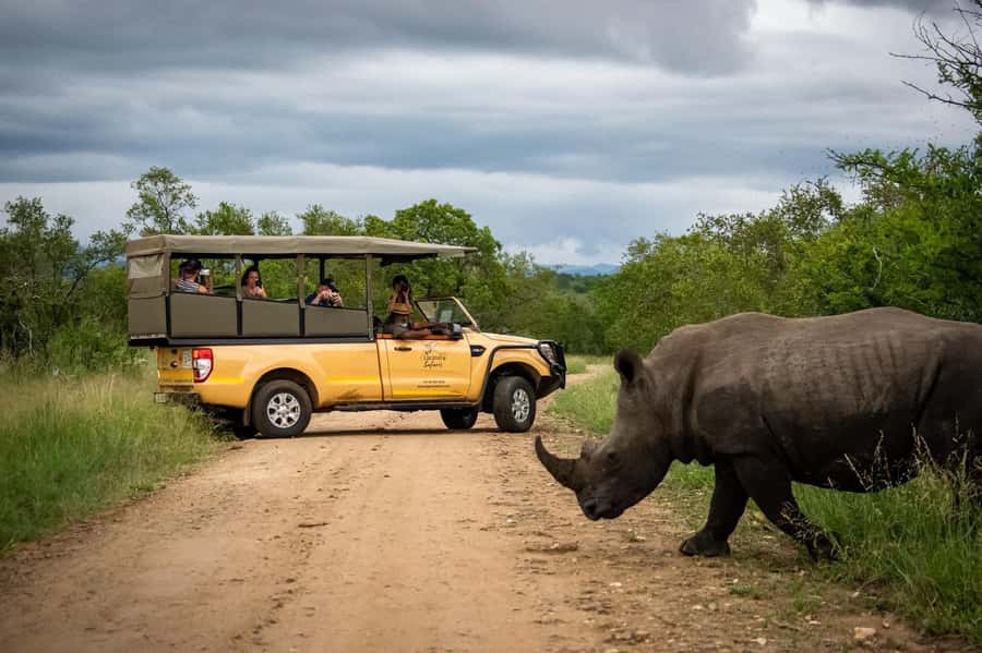 From Hazyview: Kruger National Park Full-Day Safari - What makes this safari worth considering