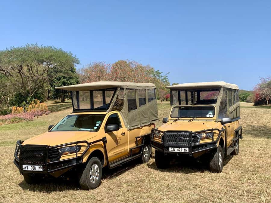 From Hazyview: Kruger National Park Full-Day Safari - Breakfast after the first game-drive push