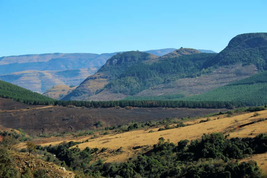 From Hazyview: Panorama Tour Highlights - Leaving Hazyview for the high country