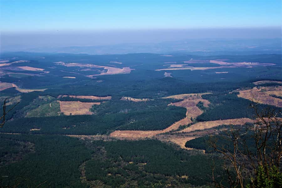 From Hazyview: Panorama Tour Highlights - What the $90 price buys you