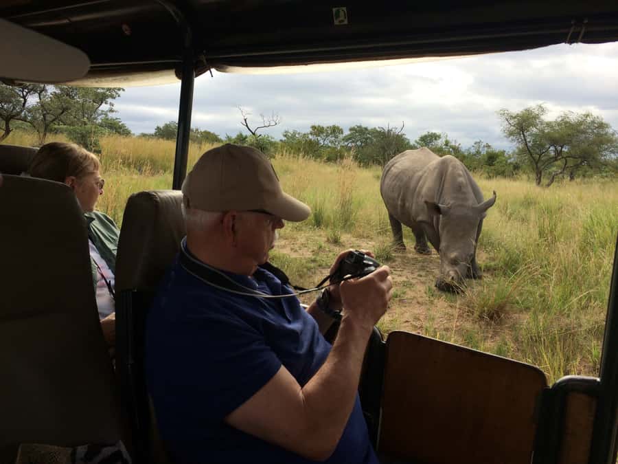 From Hazyview: Private Afternoon Game Drive - Why the Afternoon Timing Works Well