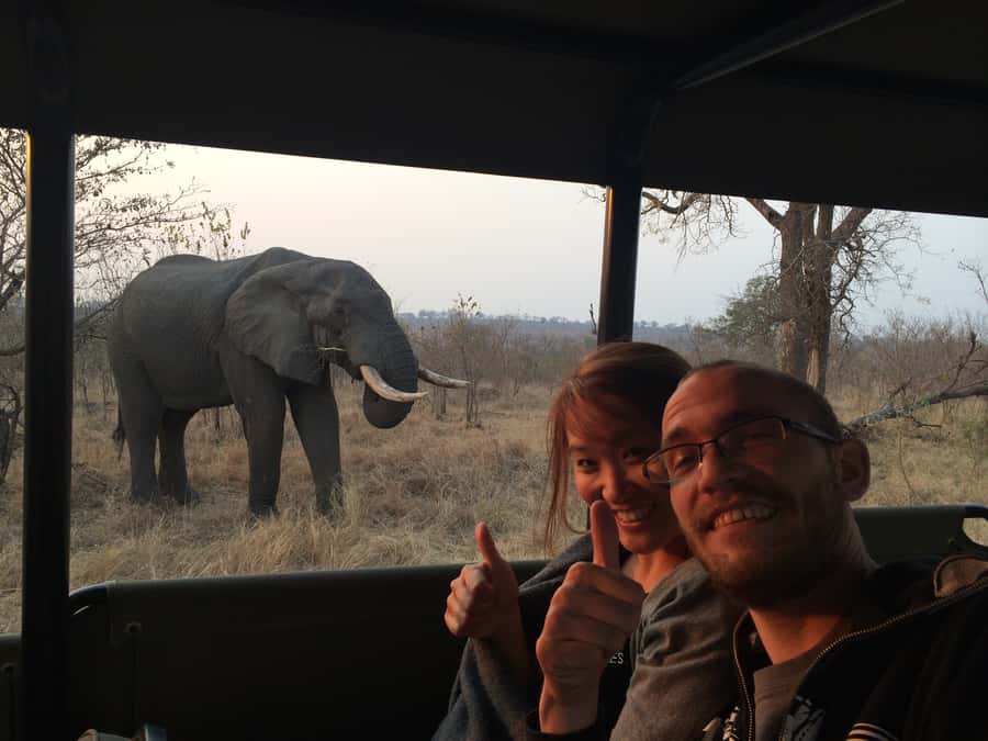 From Hazyview: Private Afternoon Game Drive - Is $270 Good Value?