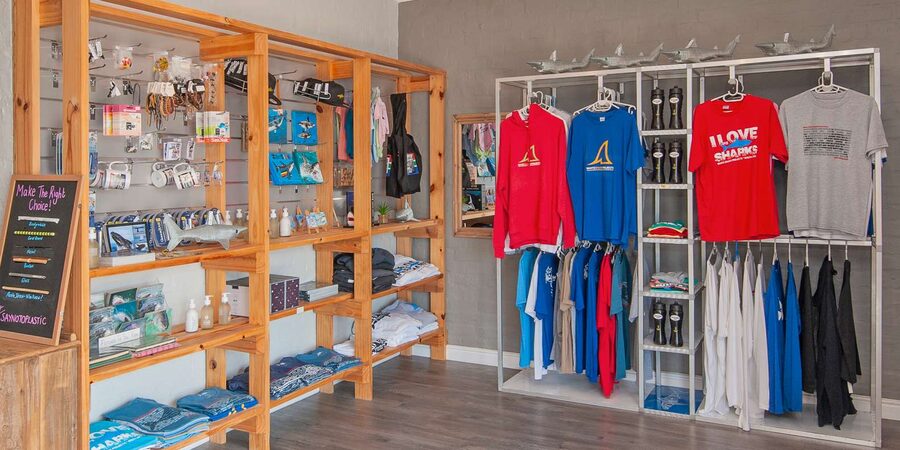 From Hermanus or Cape Town: Shark Cage Diving Experience - Cold Water and Seasickness: Plan for Both