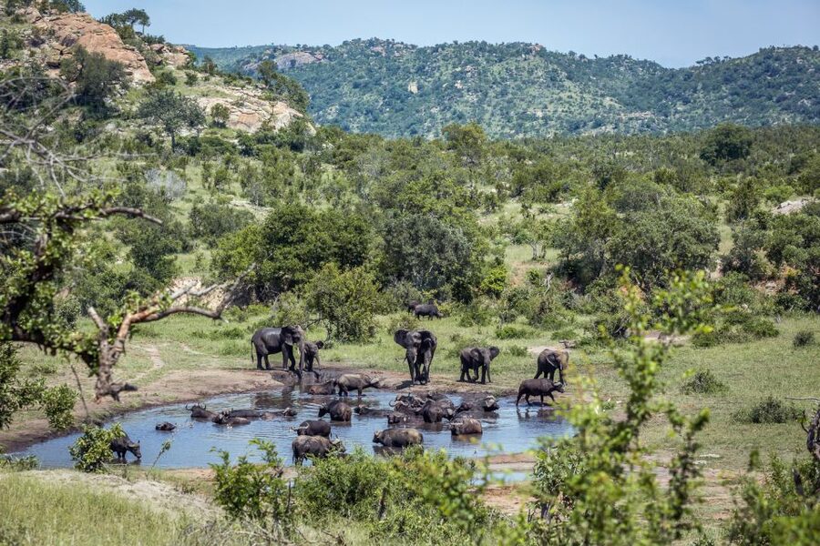 From Hoedspruit: Kruger National Park Full-Day Safari - The rest camp lunch stop