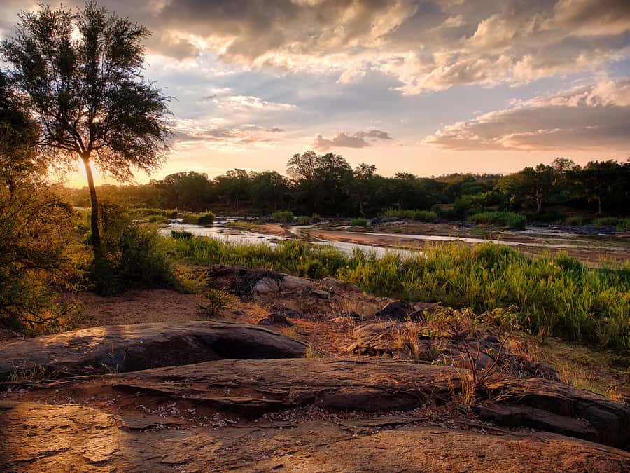 From Johannesburg: 3-Day Budget Tent Kruger Park Safari - Sunset and spotlight wildlife on Balule