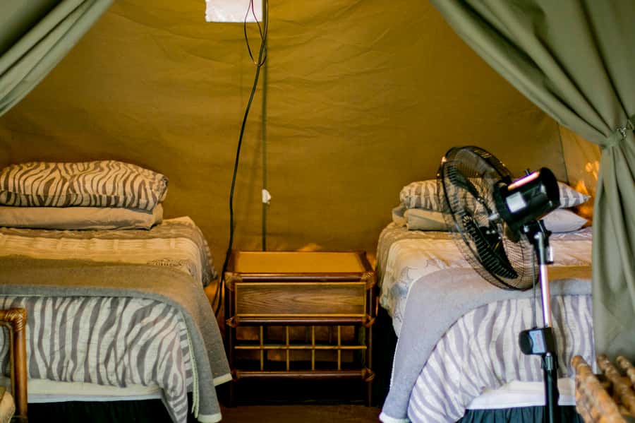 From Johannesburg: 3-Day Budget Tent Kruger Park Safari - Breakfast at Tremisana and the full Kruger day