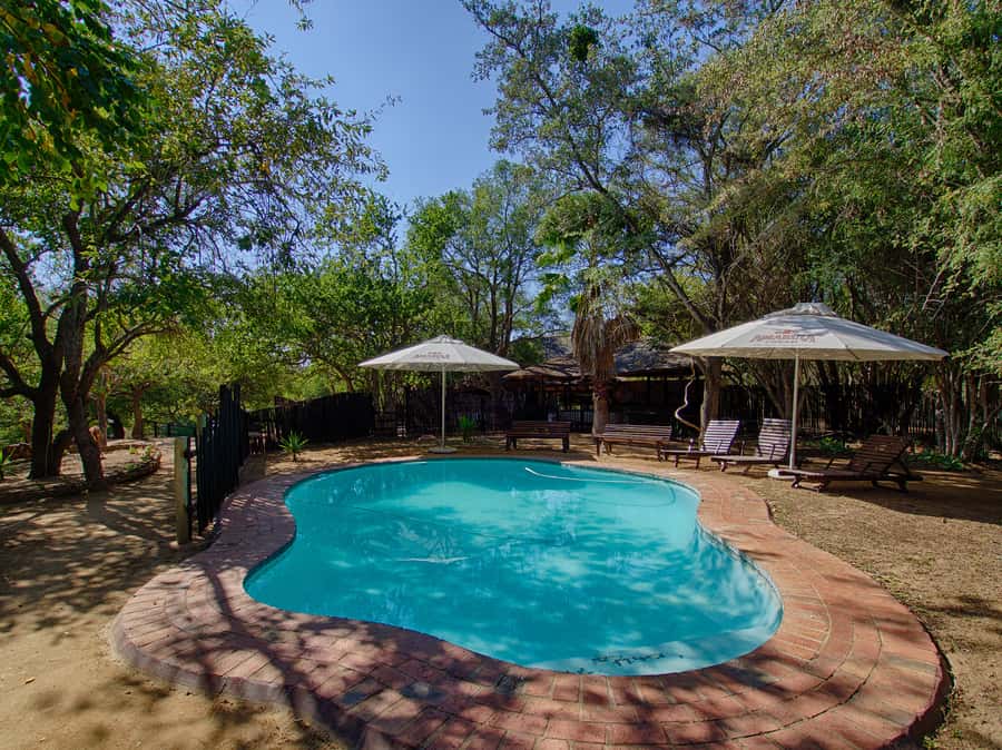 From Johannesburg: 3-Day Budget Tent Kruger Park Safari - An evening at Marc’s Camp
