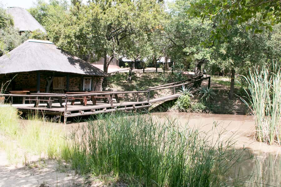 From Johannesburg: 3-Day Budget Tent Kruger Park Safari - The short morning walk at Marc’s Camp