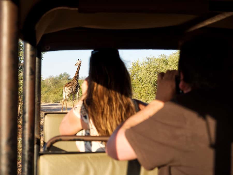 From Johannesburg: 3-Day Budget Tent Kruger Park Safari - Leaving Johannesburg for Tremisana Game Lodge