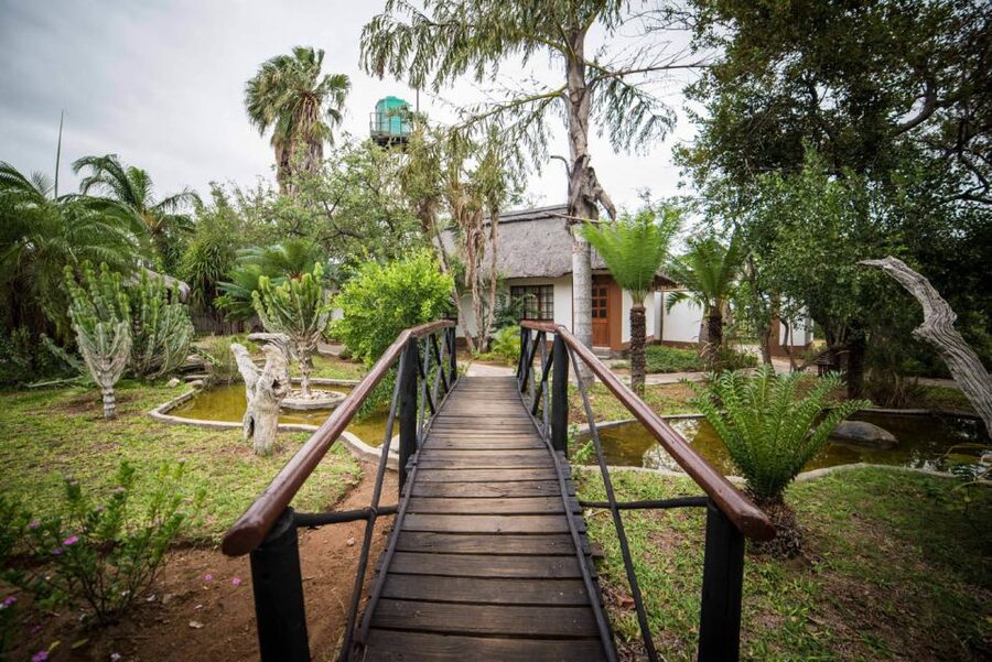 From Johannesburg: 6-Day Classic Kruger National Park Safari - Kruger National Park and the open plains