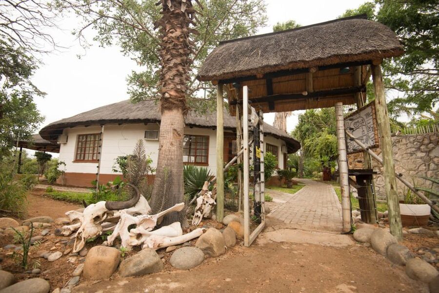 From Johannesburg: 6-Day Classic Kruger National Park Safari - What the lodge experience is really like