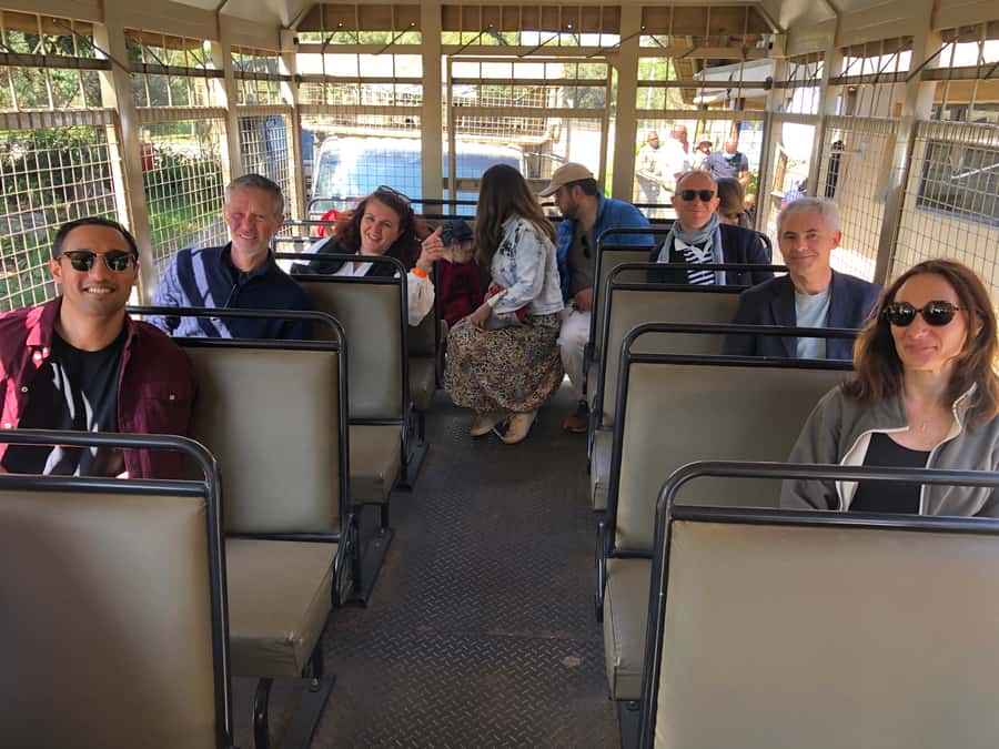 From Johannesburg: Cradle of Humankind and Lion Safari - Who should book this experience?