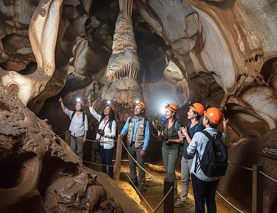 From Johannesburg: Cradle of Humankind and Lion Safari - Why this Johannesburg day trip works