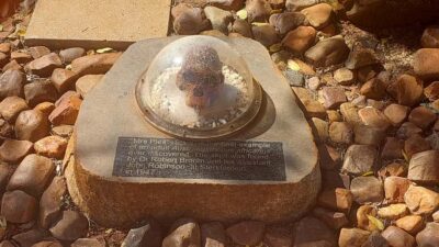 Cradle of Humankind Private Half-Day Tour