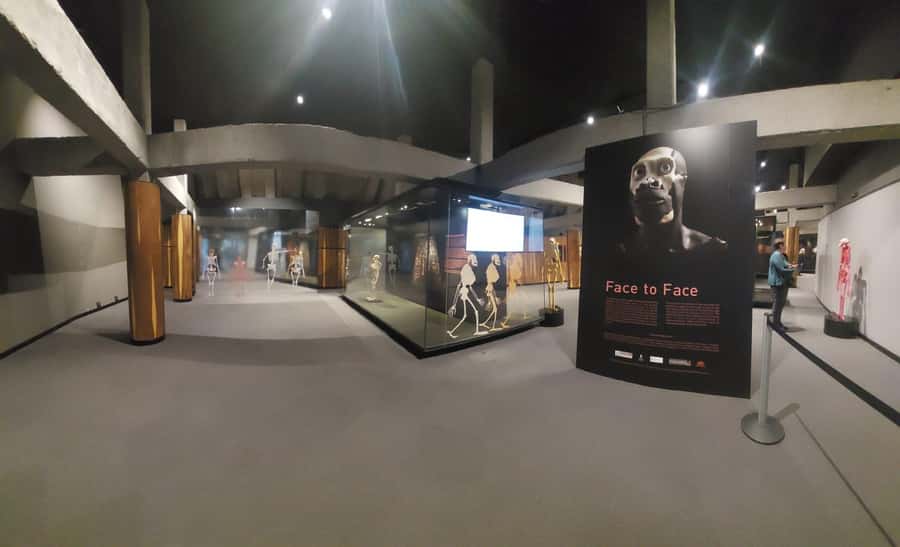 From Johannesburg: Cradle of Humankind Private Half-Day Tour - Practical tips for a better visit